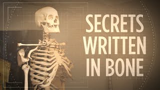 Whose Bones Are These? Investigating A Classroom Skeleton by NPR's Skunk Bear 239,123 views 6 years ago 7 minutes, 7 seconds