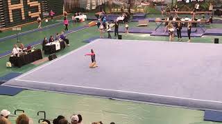 Maddie McAfee- 2018 Level 10 SC State Championship Floor