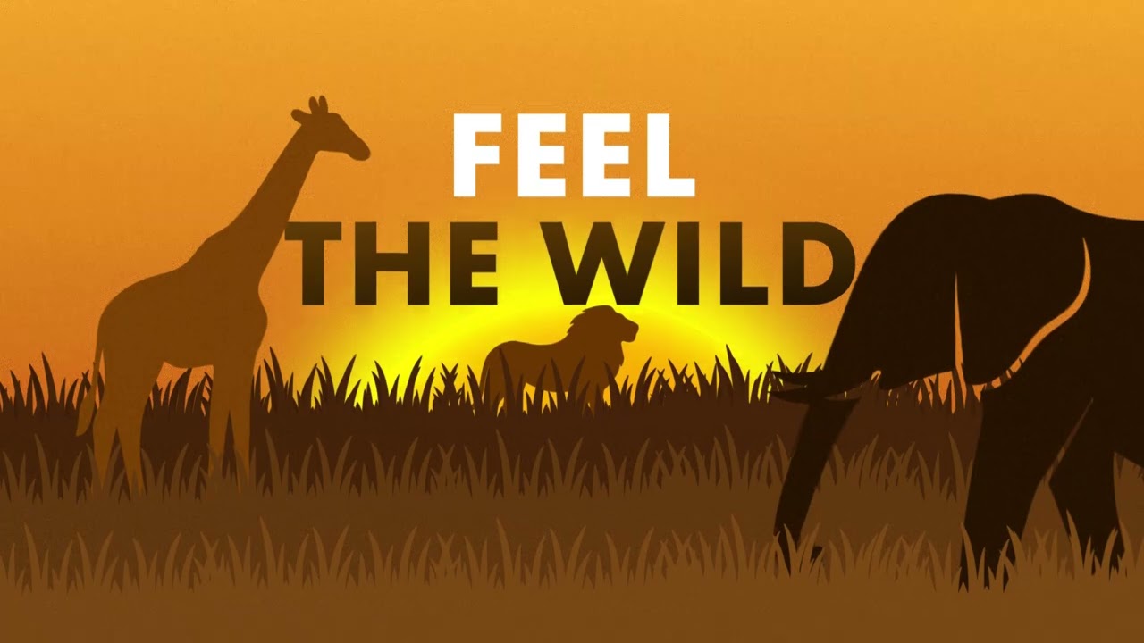 Africa Motion Graphics