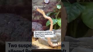 2 suspects arrested in alleged Virginia Petco reptile theft