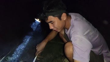 Cá lóc nướng lá chuối khô