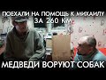 ПОЕХАЛИ НА ПОМОЩЬ К МИХАИЛУ ЗА 260 КМ / МЕДВЕДИ ВОРУЮТ СОБАК