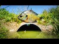 Fishing With LIVE BAIT For TUNNEL MONSTERS!!! (Fishing UNDER The Road)