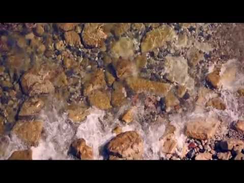 martin-garrix-&-julian-jordan-bfam-(official-video-music)-hd