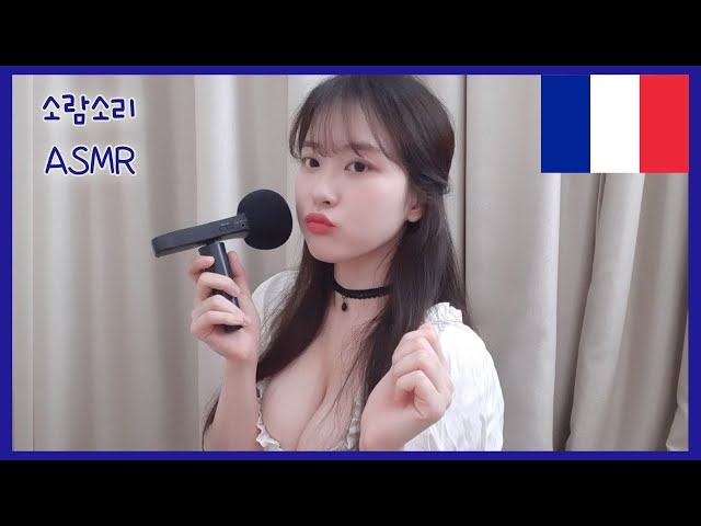 asmr Vocabulaire français 불어 단어 반복♡