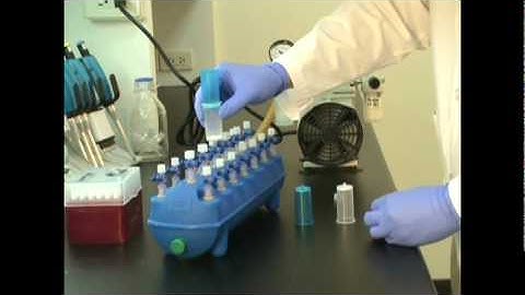 Promega PureYield™ Plasmid Midiprep System vacuum protocol (I).mpg