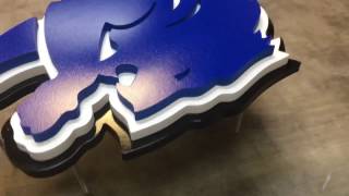 Lions, Detroit logo