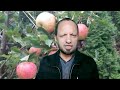 اللّہ کے غنی ہونے سے کیا مراد؟ وہ مہلت کیوں دیتا ہے؟