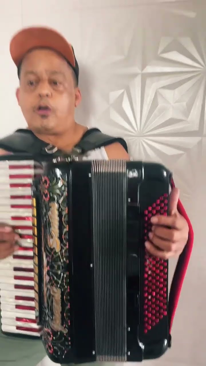 https://rifei.com.br/acordeon-melody-president