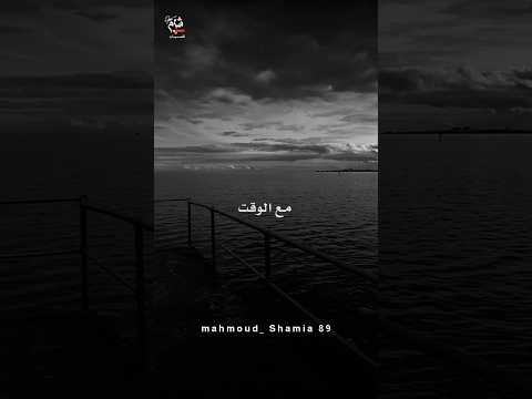 حقيقه طارق حامد