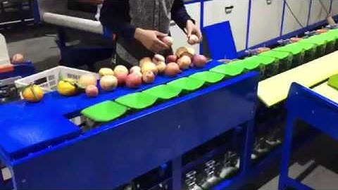 apple grading machine, apple sorting machine,