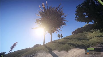This is what happens when you eat the mushrooms in Rust...