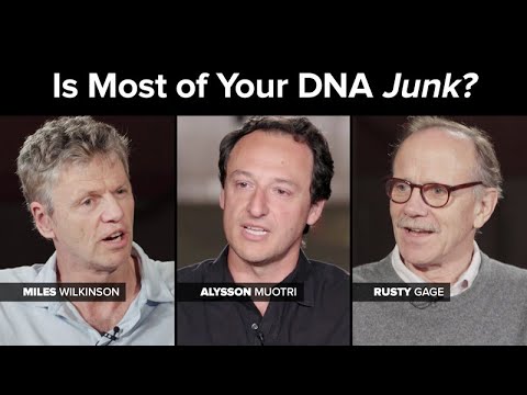 تصویری: Junk DNA چیست و چه هدفی دارد؟