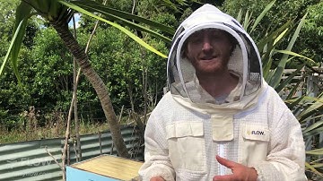 How to get bees into the Flow Super 🍯🐝