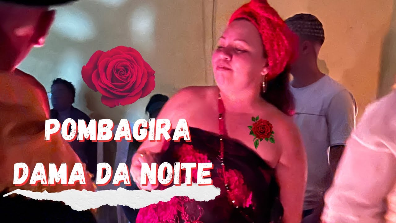 Festa Dama da Noite 2023