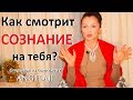 Как смотрит Сознание на Тебя? Сатсанг с Ангеладжи.