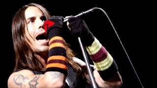Red Hot Chili Peppers - If You Want Me To Stay (Tampa - USA 2007)