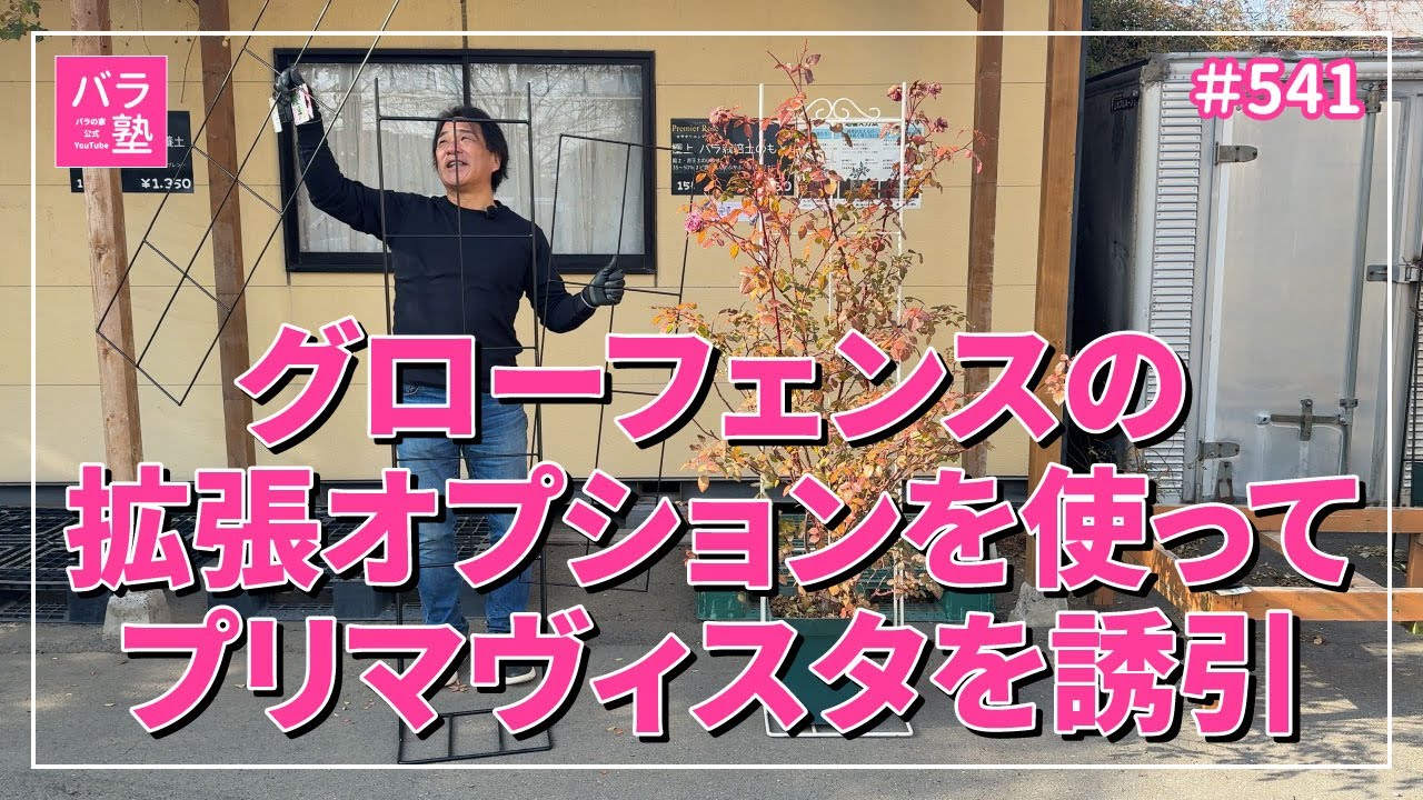 #541 グローフェンスの拡張オプションを使ってプリマヴィスタを誘引