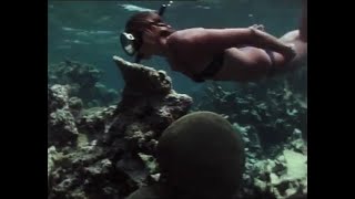 Snorkeling Coral Reef 1970