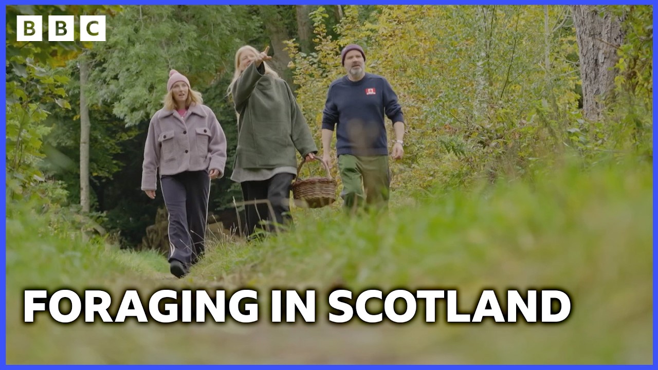 A Guide to Foraging in Scotland | Jules and Greg’s Wild Swim