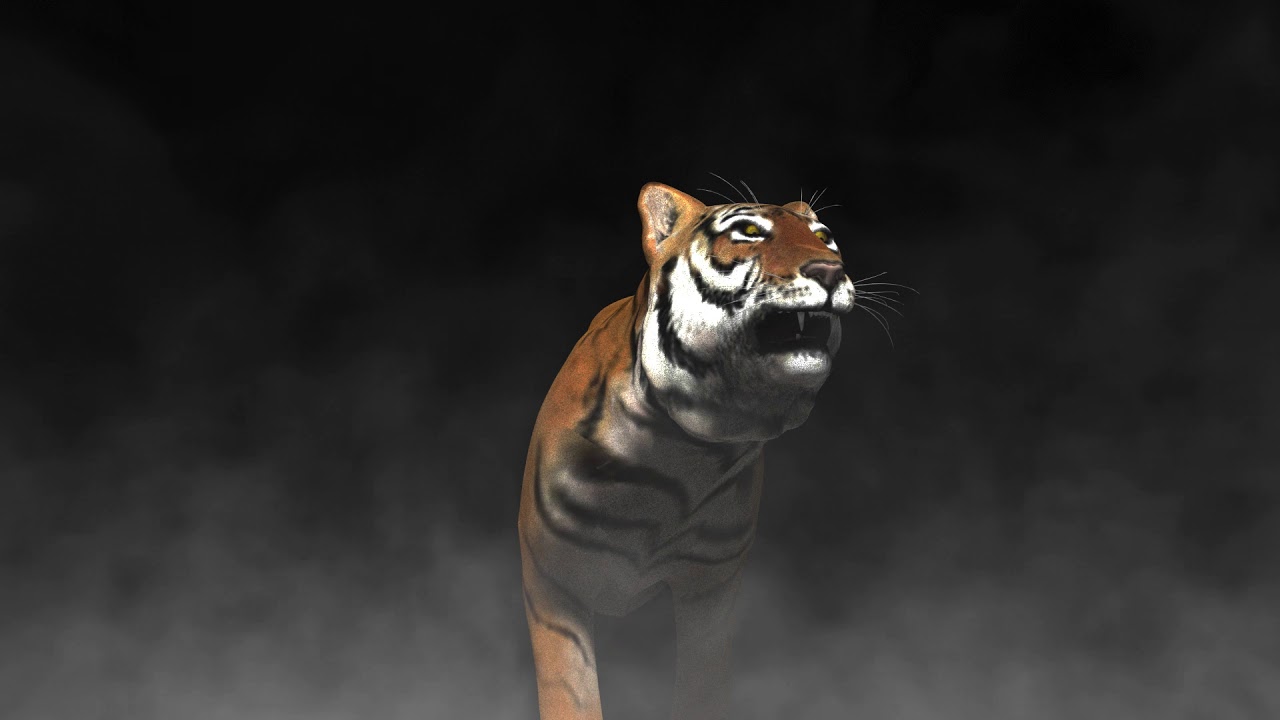 Logo Tiger