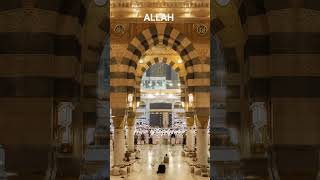 ইসলামিক ভিডিও শেয়ার করেছেন? 🤔🕋#shorts​ #islam​ #islamicstatus​ #islamic​ #motivational
