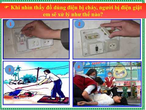 Tuần 24 - Khoa học 5