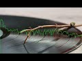 Don`t Know -  Lofi Jazz Hop / Hip Hop