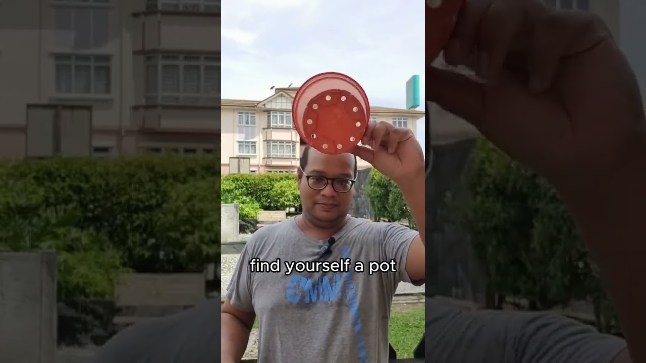 Beginners Tips to Urban Farming 