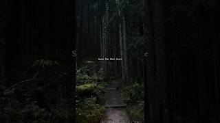 Teri Meri Prem Kahani - Rahat Fateh Ali Khan And Shreya Ghoshal