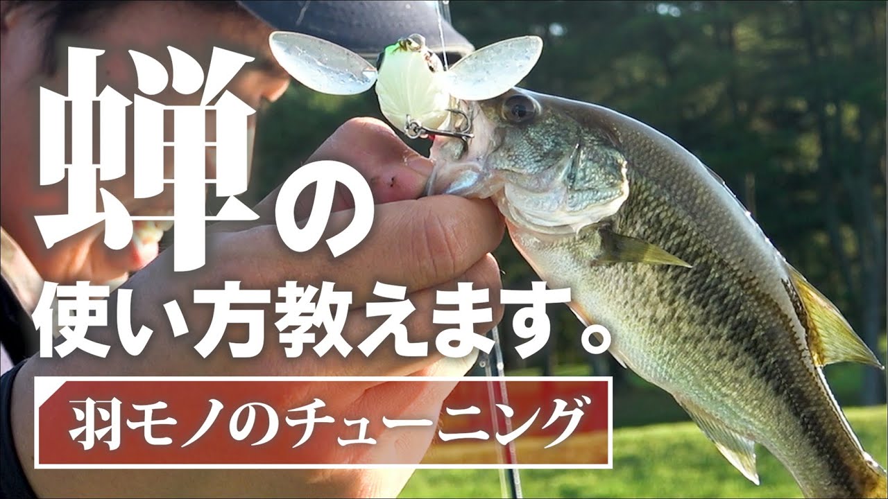 トップウォーター】蝉の使い方教えます！ - YouTube