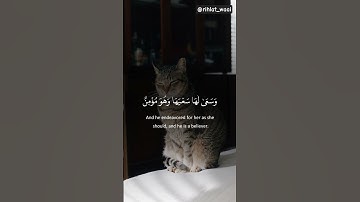 تلاوة مباركة تهز القلوب بصوت عذب يلامس الأرواح