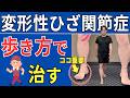 【変形性ひざ関節症】痛くならない歩き方 重要な2つのポイント | 大阪市都島区 さかとう整骨院#100