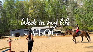 WEEK IN MY LIFE AS A YOUNG PROFESSIONAL EQUESTRIAN