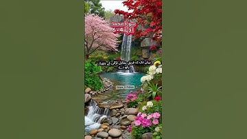 سوره محمد آیه 4-6 | یادآوری روزانه | قرآن ای حدیث #ویروسی #برای شما #ویروسی ویدیو #قرآن #کوتاه