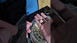 Isca pegadeira de piau #fishing #viral #pescaria