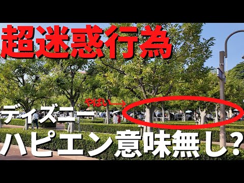 【ディズニーシー】超衝撃。ハピエンして悲しむのは嫌です、、。