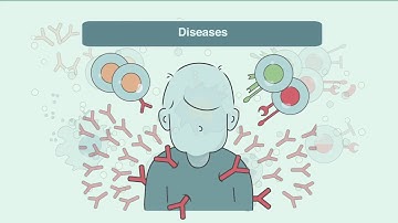 Phage ImmunoPrecipitation Sequencing (PhIP-seq)