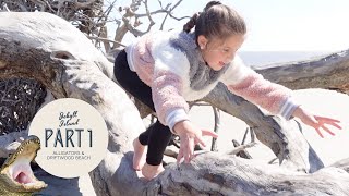Chasing ALLIGATORS and climbing HUGE trees at driftwood beach (Jekyll Island, GA Trip Part 1 of 4)