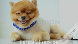kiki channel | Sites like Backpage | Alternative to Backpage | ads posting site