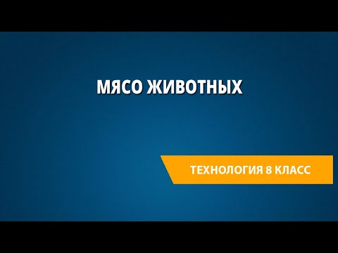 Мясо животных