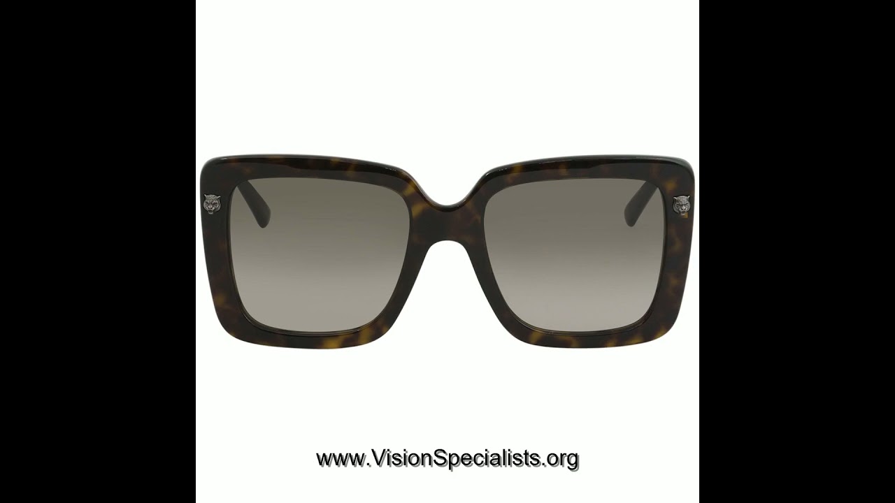 Gucci Womens GG0216S GG 0216 S 002 Havana Silver Fashion  display picture 2