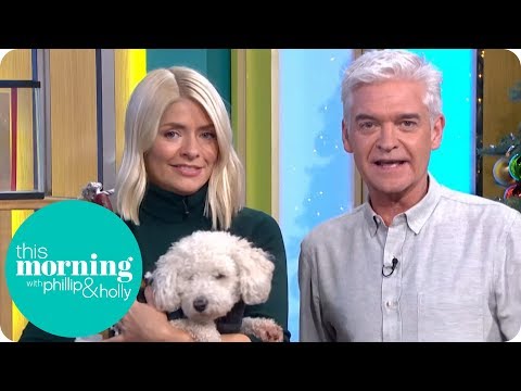 the-best-christmas-gifts-for-your-pet-|-this-morning