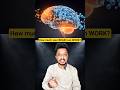 Your Brain Is Not Built for 8 Hours of Deep Work (Science Explains)