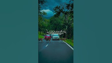 وَإِذَا سَأَلَكَ عِبَادِي عَنِّي|سورة البقرة~الآية142~القارئ #اسلام_صبحي ~🤍🎧