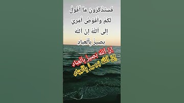الاية 44 من سورة غافر #اكسبلور #allah #المصحف #لايك #quran #حالات_واتس #god #ترند #دبي #دويتو #حب