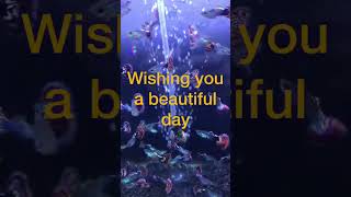 Happy Sunday Greetings / Happy Sunday Wishes