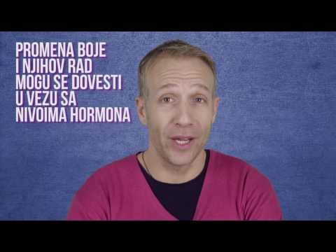 Video: Koje životinje Mijenjaju Boju