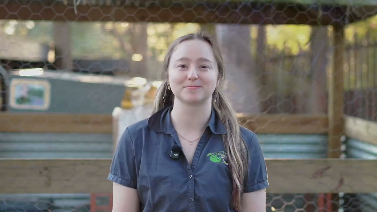 Learning Through Animals and Nature at Turramurra Kindergarten