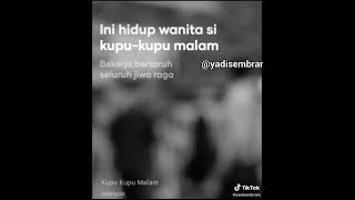 Peterpan Kupukupu Malam